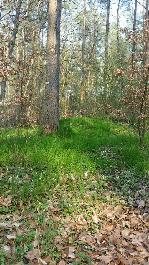 Lütt Verbliev Malchow  Exterior foto